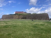 IMG_7553