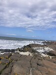 IMG_7557
