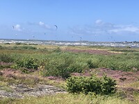 IMG_7564