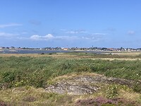 IMG_7565