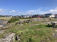 IMG_7567