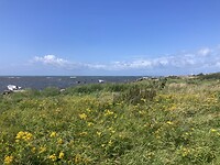 IMG_7568