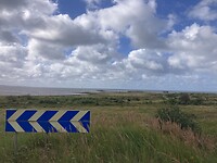 IMG_7580
