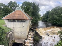 IMG_7581