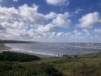 IMG_7582