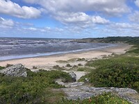 IMG_7583