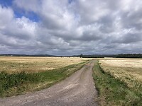 IMG_7584