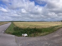 IMG_7585