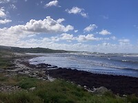 IMG_7587