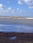 IMG_7588