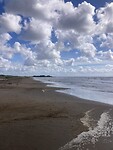IMG_7593