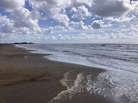 IMG_7594