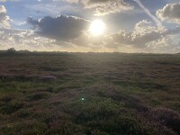 IMG_7604
