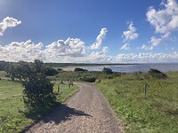 IMG_7607