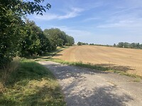 IMG_7655