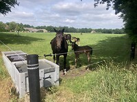 IMG_8885