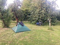 IMG_8889