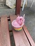 IMG_8896