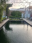 IMG_8887