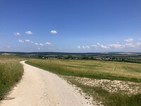 IMG_8936