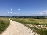 IMG_8937