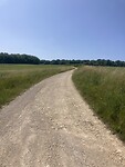 IMG_8938