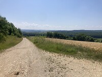 IMG_8940