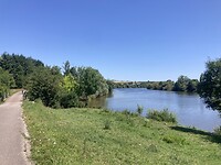 IMG_8958