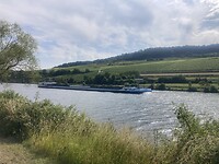 IMG_8964