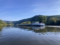 IMG_8979