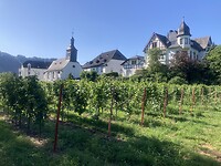 IMG_8982