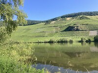 IMG_8983