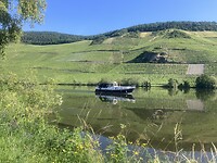 IMG_8984