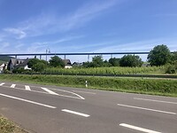 IMG_8990