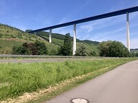 IMG_8991