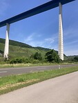 IMG_8992