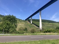 IMG_8993