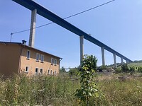 IMG_8994