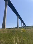 IMG_8995