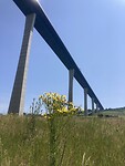 IMG_8996