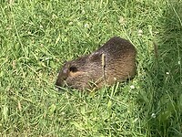 IMG_9017