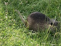 IMG_9020
