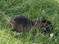 IMG_9021