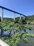 IMG_9028