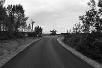 IMG_0246