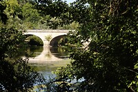 IMG_0558