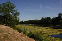 IMG_0555