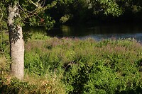 IMG_0576