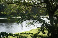 IMG_0574