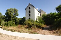 IMG_0594